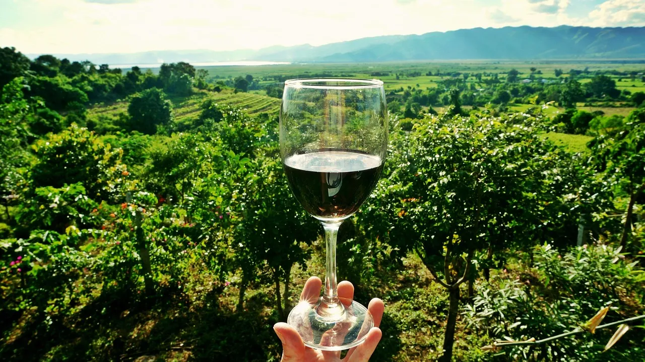 riverbench-winery-funkzone-01