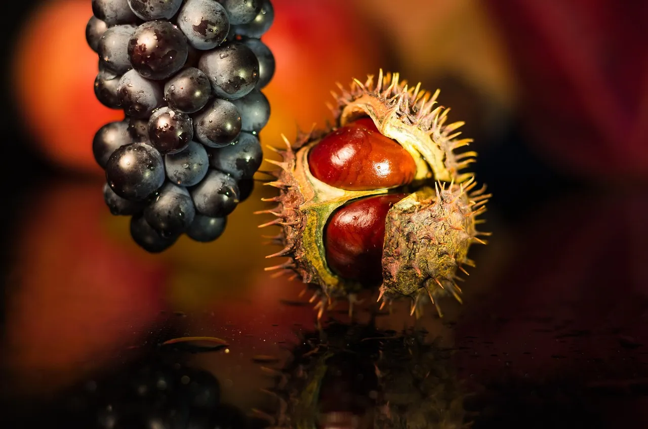 wine_grapes