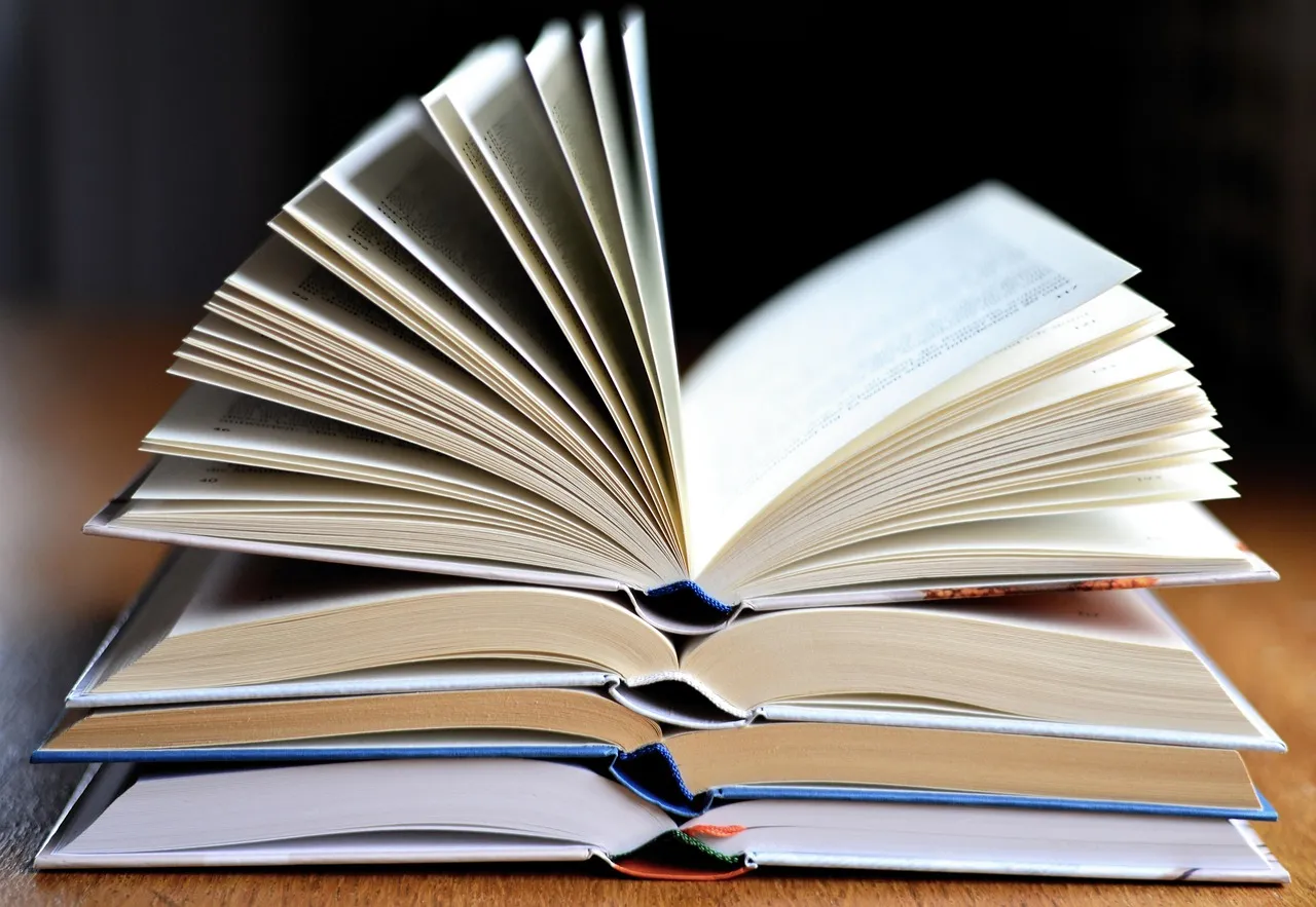 Meternity-book-by-Meghann-Foye