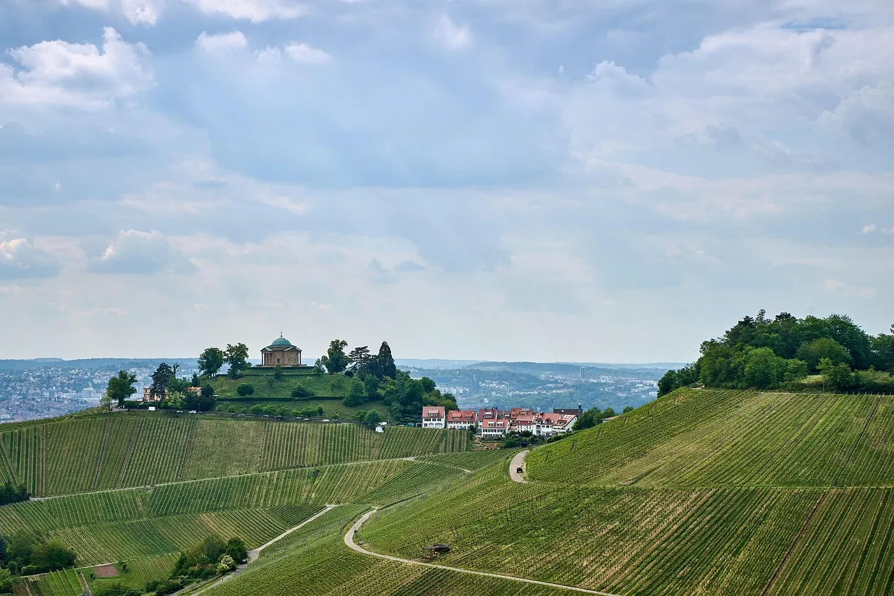 codorniu-cellars-705x335