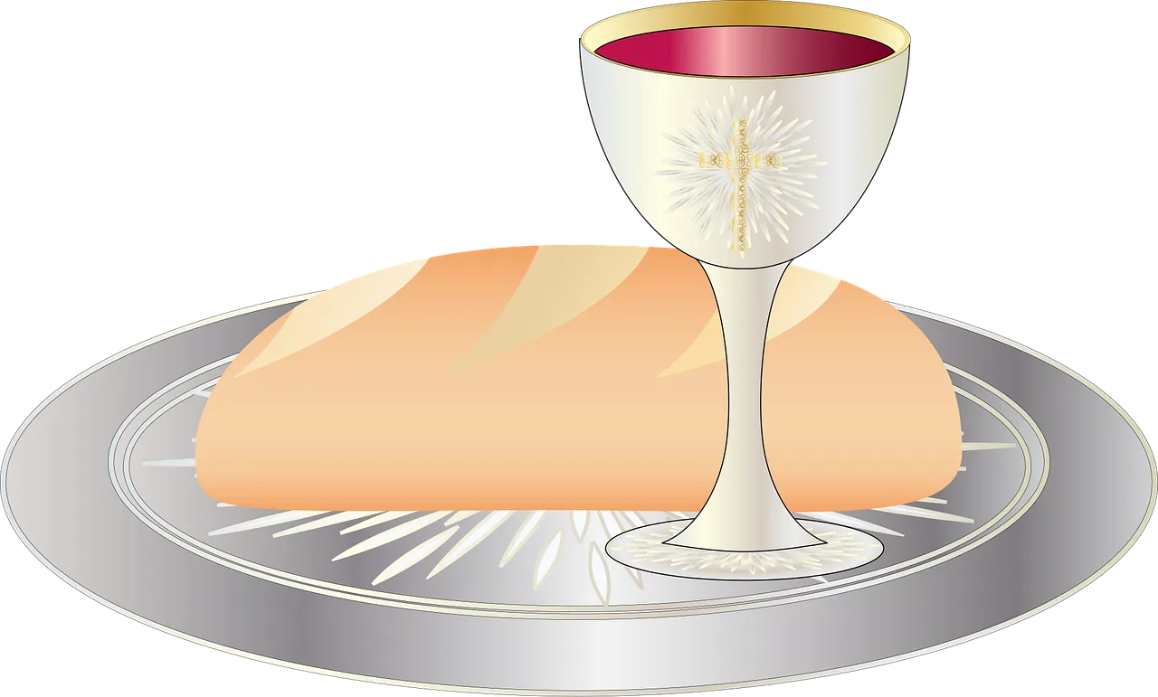 vinopolitan