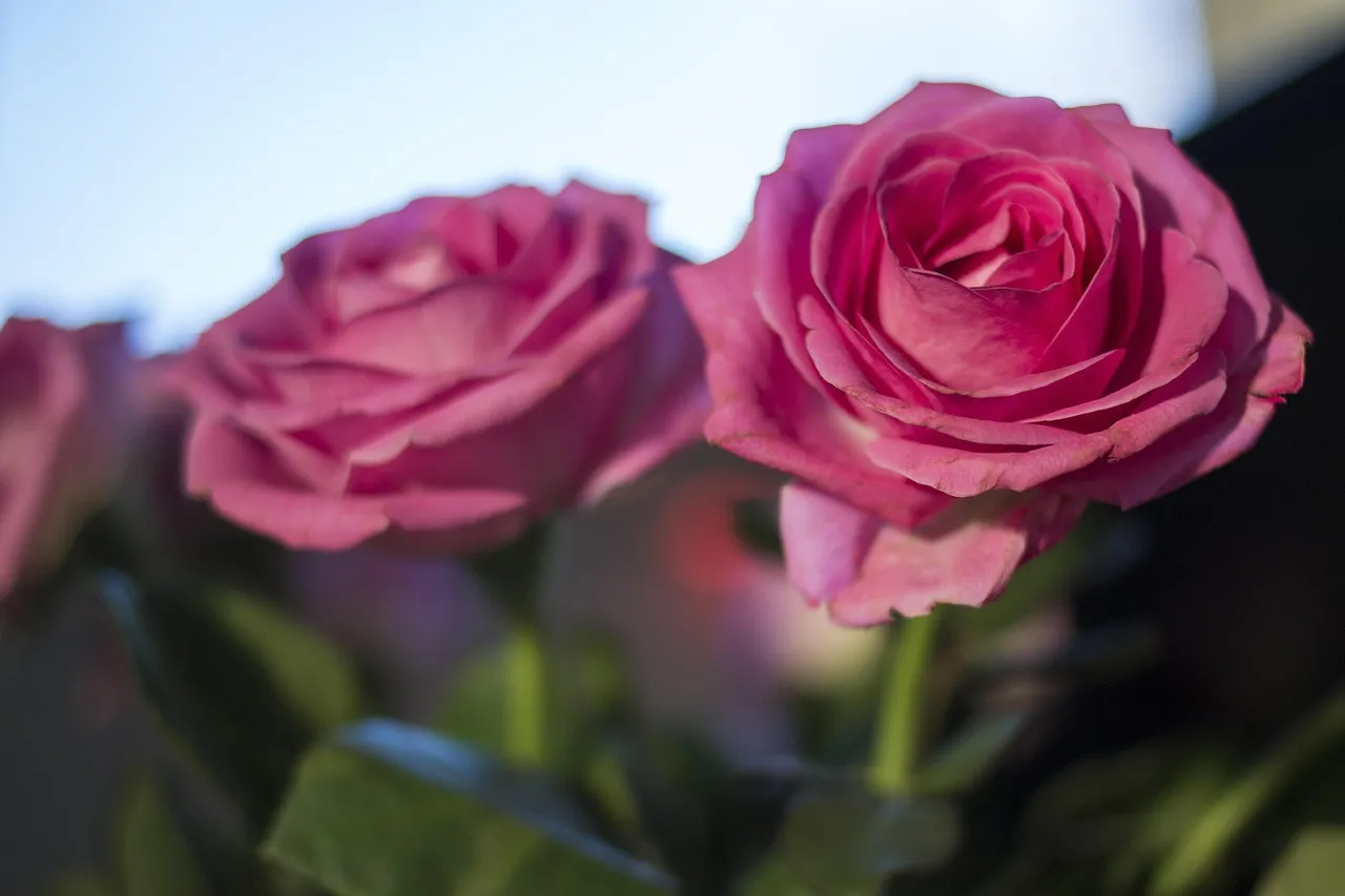 mother's day pinterest