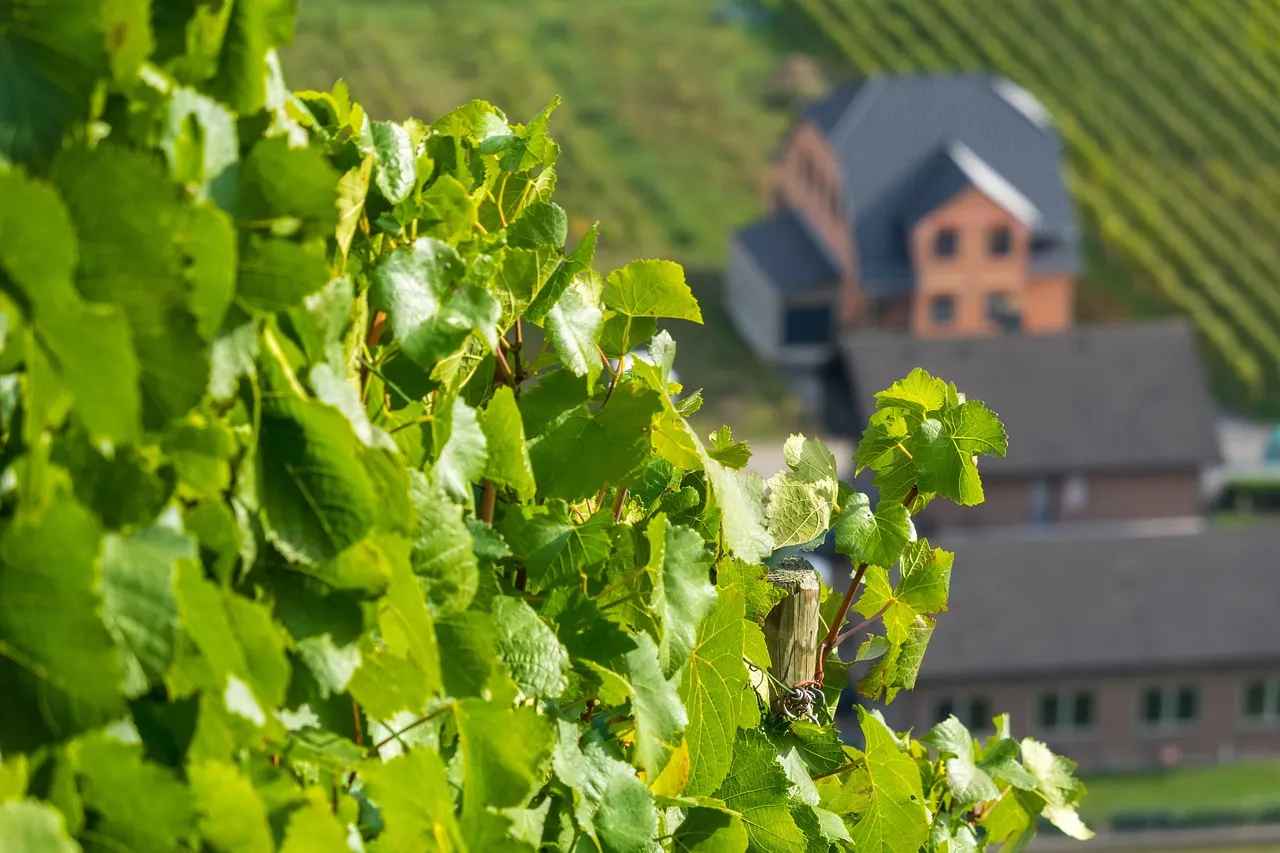 1loire_valley_wine_map