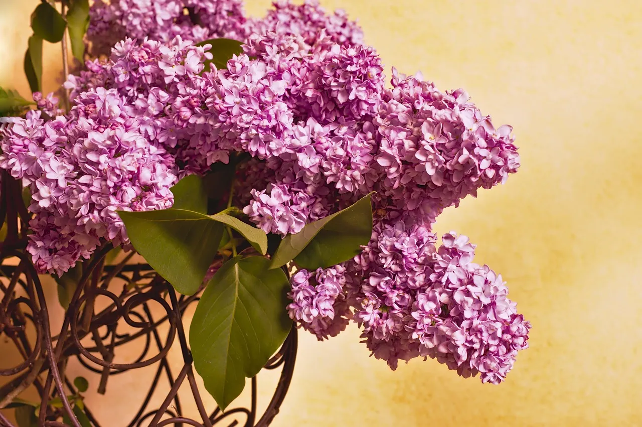 mother's day pinterest
