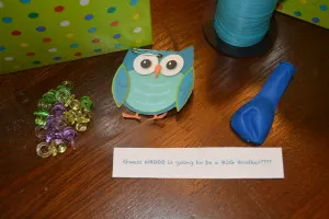 Look "whooo's" going to be a big brother/sister box!